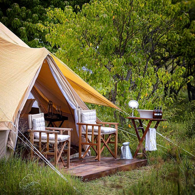 View Feline Fields Vintage Camp near Moremi Game Reserve