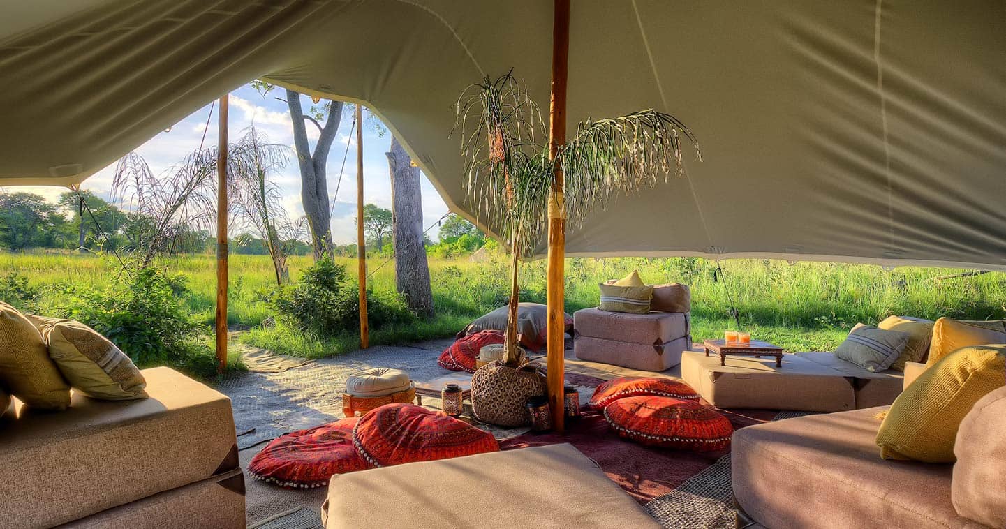 The main lounge and mess tent at Feline Fields near Moremi